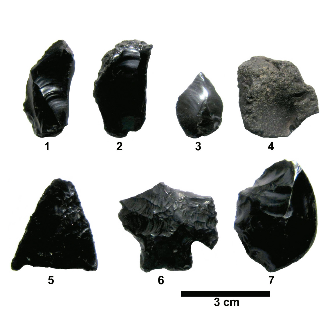 Algunos ejemplos de los artefactos de obsidiana analizados